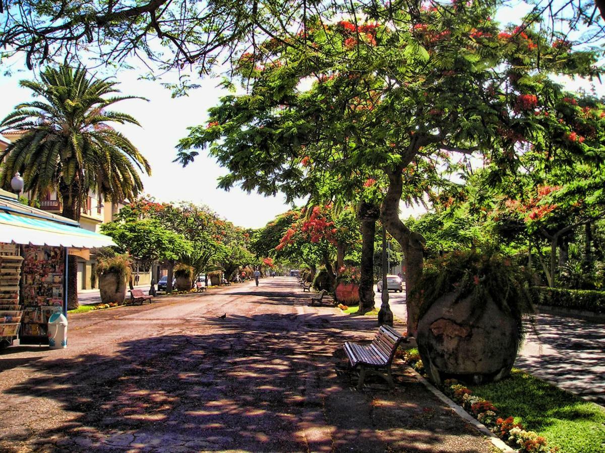 Flores & Campos Guest House Santa Cruz de Tenerife Eksteriør billede